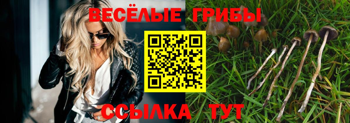 Ревда  Псилоцибиновые грибы Psilocybe  Вход с VPN 